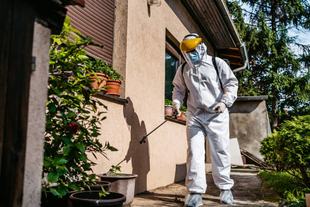 Best Flea Control Services  in Peekskill, NY