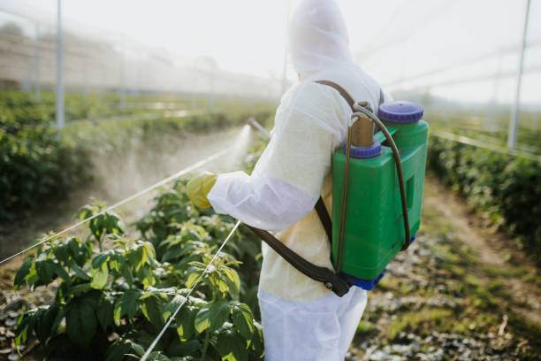 Best Emergency Pest Control  in Peekskill, NY
